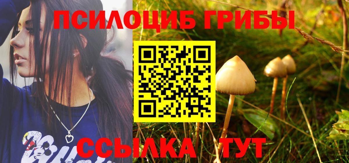 Галлюциногенные грибы Magic Shrooms  Вход с VPN  Мирный 